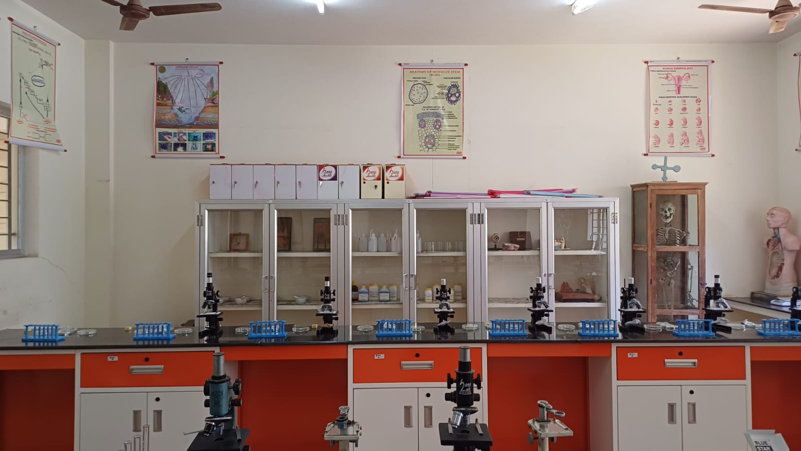Laboratory Image 8